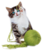 Edited By C Freedom Cat Ball Image